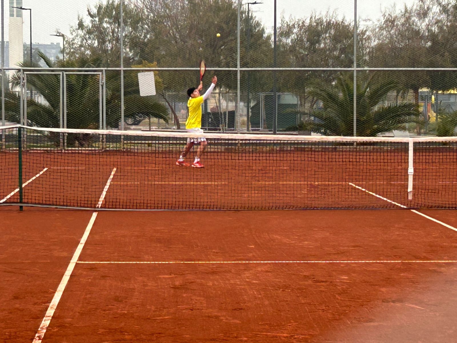Barty---default-crop